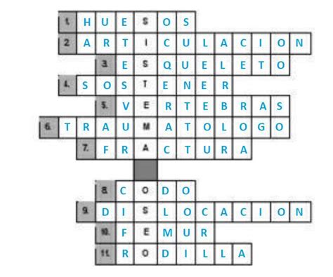 Me Ayudan A Resolver Este Crucigrama Sobre El Sistema Oseo Brainly Lat