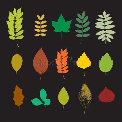 Leaf Set Stock Vector Illustration Of Colorful Botany 45235876