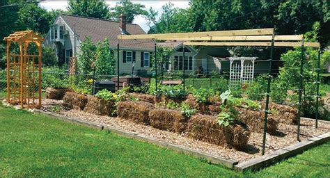 Solve Your Soil Issues With Straw Bale Gardening The