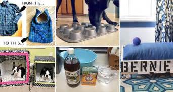 16 Awesome Diy Dog Accessory Ideas You And Your Pooch Will Love