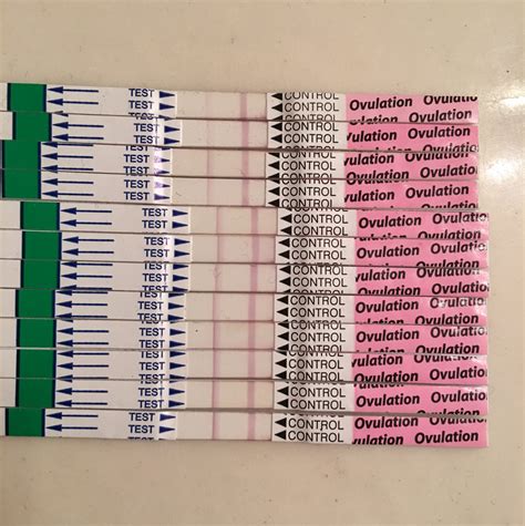 Top 90 Pictures What Does A Positive Ovulation Test Strip Look Like