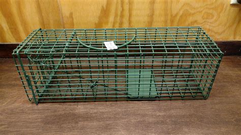 Duke Standard Single Door Cage Trap 1100 Animal Traps And Supplies