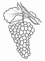 Grapes Coloring Pages Kids sketch template