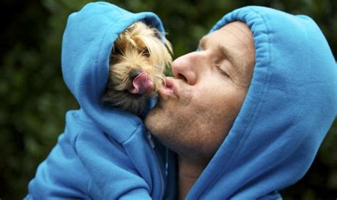 Dogs Do Mimic Their Owners Traits Study Proves Pets Personalities