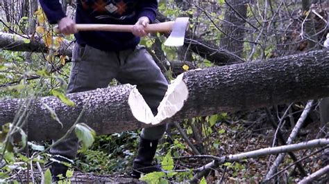 Bucking A Fallen Tree With Hults Bruk Full Size Axe Youtube