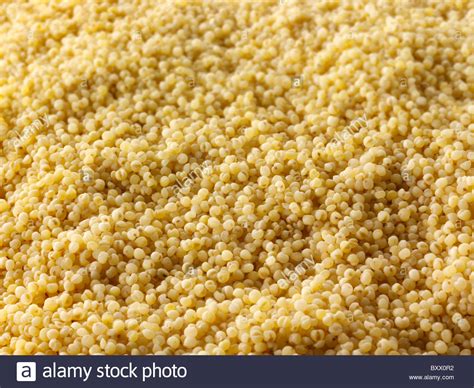 Golden Millet Hi Res Stock Photography And Images Alamy