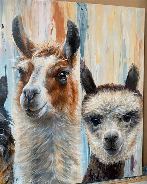 ‘lamas And Alpacas 44 X28 Always Made Me Smile 😁 There Faces So