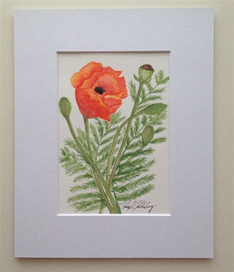 Painting Of Poppies Watercolor Original By Sunberrycreations 4500