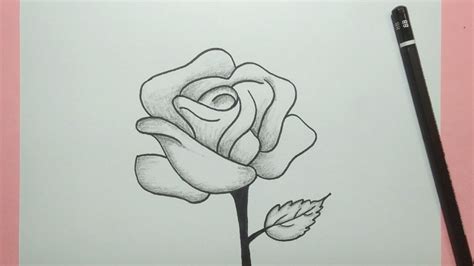 Cara Menggambar Bunga Mawar How To Draw A Rose Youtube