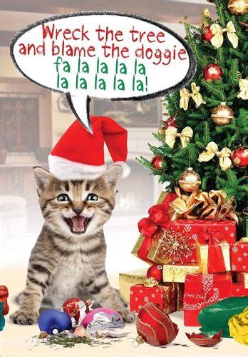10 Cute And Funny Cat Christmas Cards Absolute Christmas