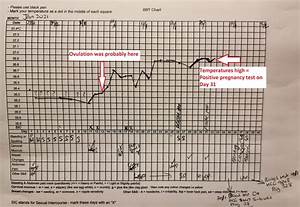 How To Use A Bbt Chart To Help You Fall Point Specifics