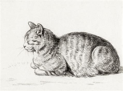 Lying cat (1811) by Jean Bernard (1775-1883). Original from the Rijks