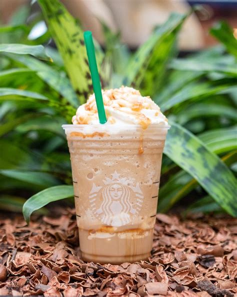 Starbucks Caramel Ribbon Crunch Review Ulsdleader
