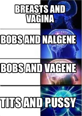 Meme Creator Funny Breasts And Vagina Tits And Pussy Bobs And Vagene