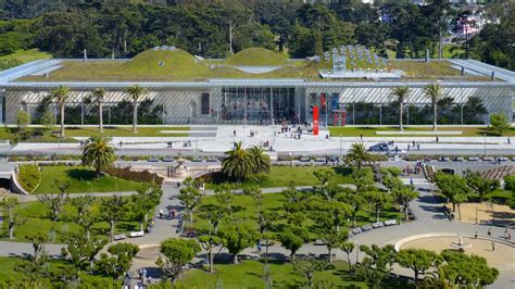 Your Guide To Visiting The California Academy Of Sciences San
