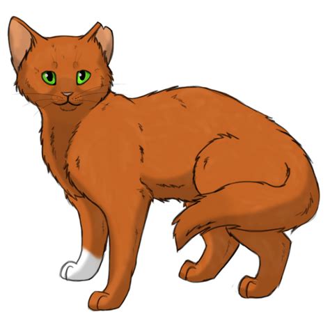 An Orange Cat With Green Eyes Is Standing