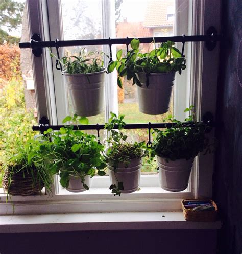 Indoor Window Box Gardens Windowcurtain