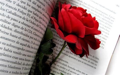 Free Download Fondos De Flores En Hd Rosa Roja En Un Libro X For Your Desktop Mobile