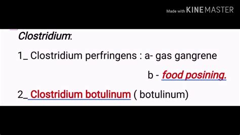 Clostridium Botulinum Botulism Food Posining التسمم بالمعلبات Youtube