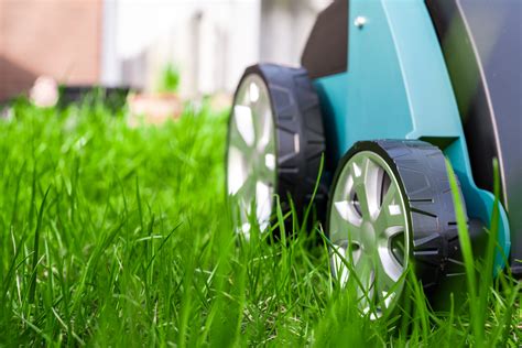 How To Properly Aerate Your Lawn Landscaper Locator