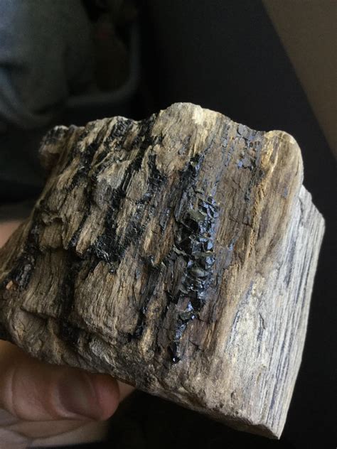 Rough black onyx bulk rock for tumbling metaphysical. Strange black stuff on petrified wood? What is it? Coal ...