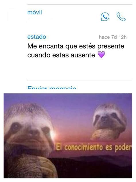 Aparte de poder saber su origen, y a quien acreditar a la hora de hacer su propia versión. Trucos de Stardoll 2019 | SR014: Memes & memes ♥