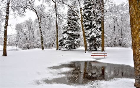 Fondo de Pantalla Paisaje Parque lleno de nieve