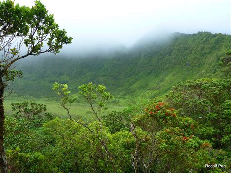Cloudy Mountain Rainforests Rainforests Oahu Cloudy Mountain River
