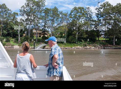 Couple On Brisbane River Cruise To Lone Pine Koala Sanctuary Fig Tree