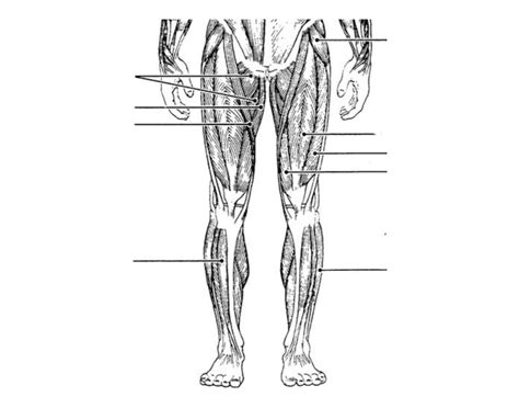 For example, after positive experiences like running outside, after a warm bath, after a meal, etc. Muscle labeling 2/4