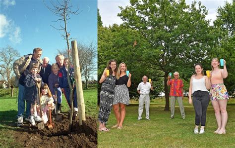 Immense things can come from small sources. Two mighty oaks from little acorns grow | InYourArea Community
