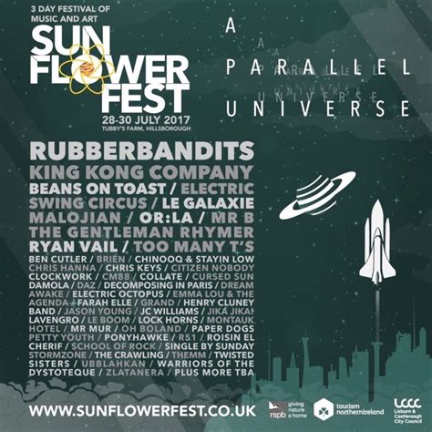 Top Things To Do At The Summer Sunflower Festival Belfast Times