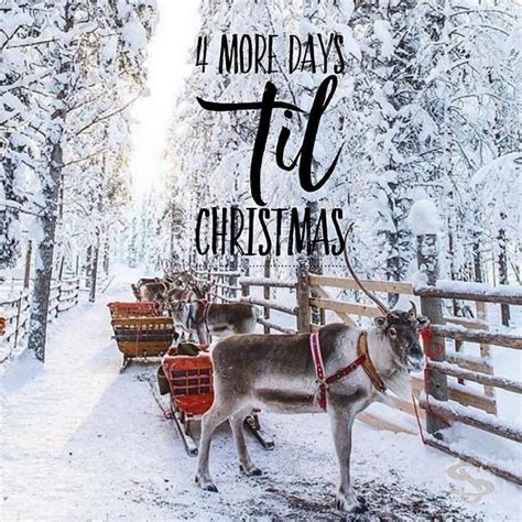 Only 4 Days Left Til Christmas Photo Juliacawleyphotography