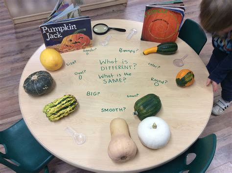 Pin on Reggio Inspired Table Provocations at The Learning Loft