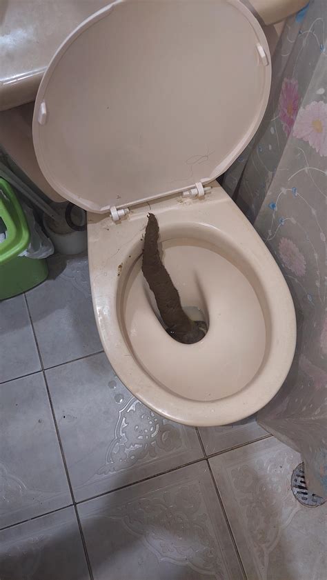 Biggest poop in the universe : r/WorldRecordPodcast