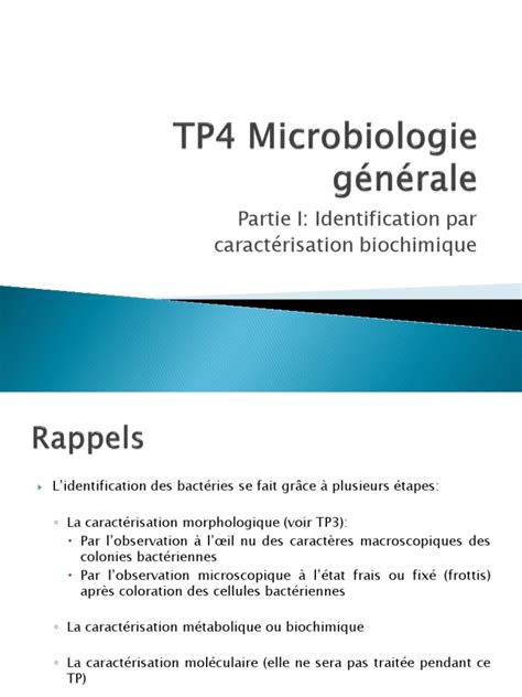 Tp4 Microbiologie Générale Identification Par Caractérisation