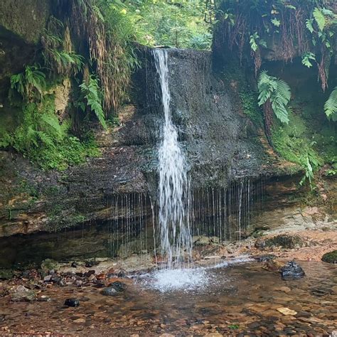 Beautiful day out in Fife on our doorstep!! Enjoy every minute , life