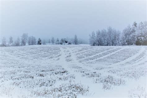Snow Covered Field And Trees During Daytime Photo Free Nature Image