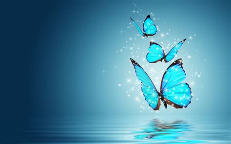 Beautiful Butterflies Wallpapers Pictures Images