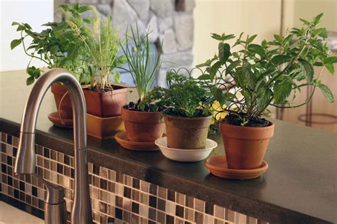 Maybe you would like to learn more about one of these? Organic Herbs Are a Smart Choice for the Home Herb Garden ...