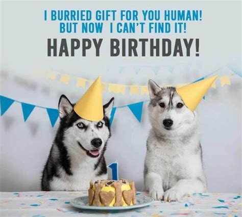 Enjoy each and every happy birthday meme. The Coolest Dog Birthday Memes Collection - Happy Birthday