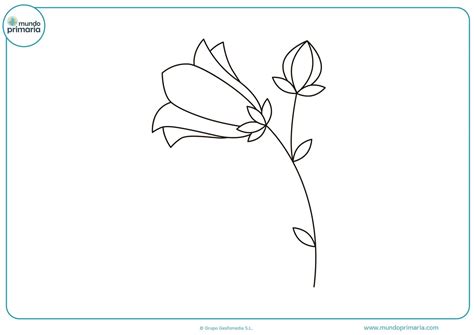 Juegos De Flores Fáciles Dibujos De Flores Para Colorear Bonitas Y
