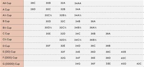 Bra Size Chart Thirdlove