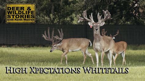 Deer And Wildlife Stories With Keith Warren High Xpectations Whitetails
