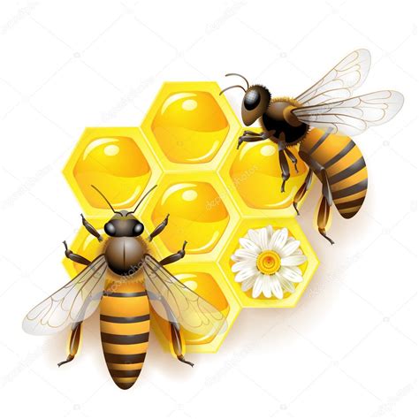 Honey bees visit millions of blossoms in their lifetimes, making pollination of plants possible and collecting nectar to bring back to the hive. Bees with flowers — Stock Vector © Merlinul #5407597