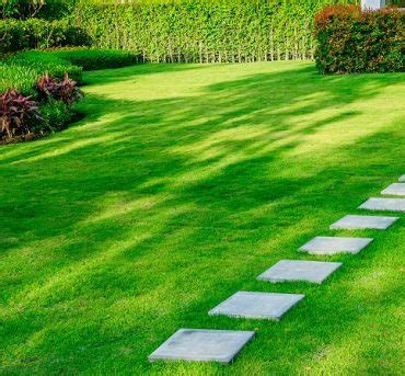 Lawn Maintenance Greenview Offers Landscaping Lawn Maintenance Hardscape Patios