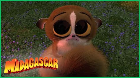 Mort é o MELHOR DreamWorks Madagascar em Português YouTube