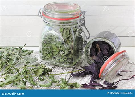 Dried Kitchen Herbs Of Basil And Mint In Glass Jars Stock Image Image