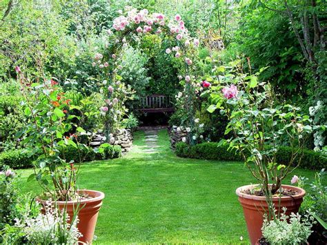 Here are his top house plant decorating tips. 5 Tips on how to present your house for sale - adelady