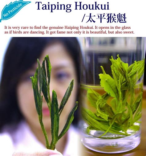 Taiping Houkui Chinese Green Tea Hojo Tea